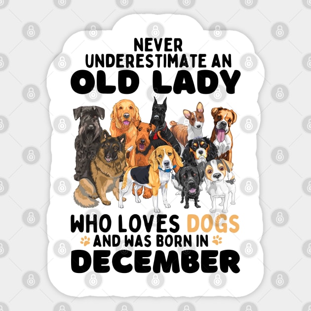Never Underestimate An Old Lady Who Loves Dogs And Was Born In December Sticker by JustBeSatisfied